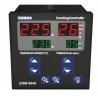 ESM-9945 Buhar Çıkışlı  Pişirme Kontrolörleri (96 X 96 mm )